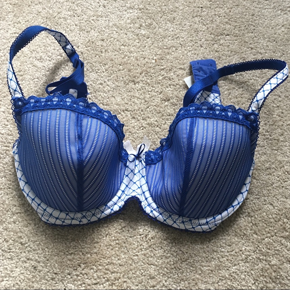B. Tempted bra size 34d